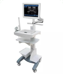 B/W Ultrasound Scanner