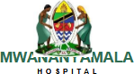 Mwananyamala Hospital