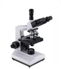 Biological Microscope